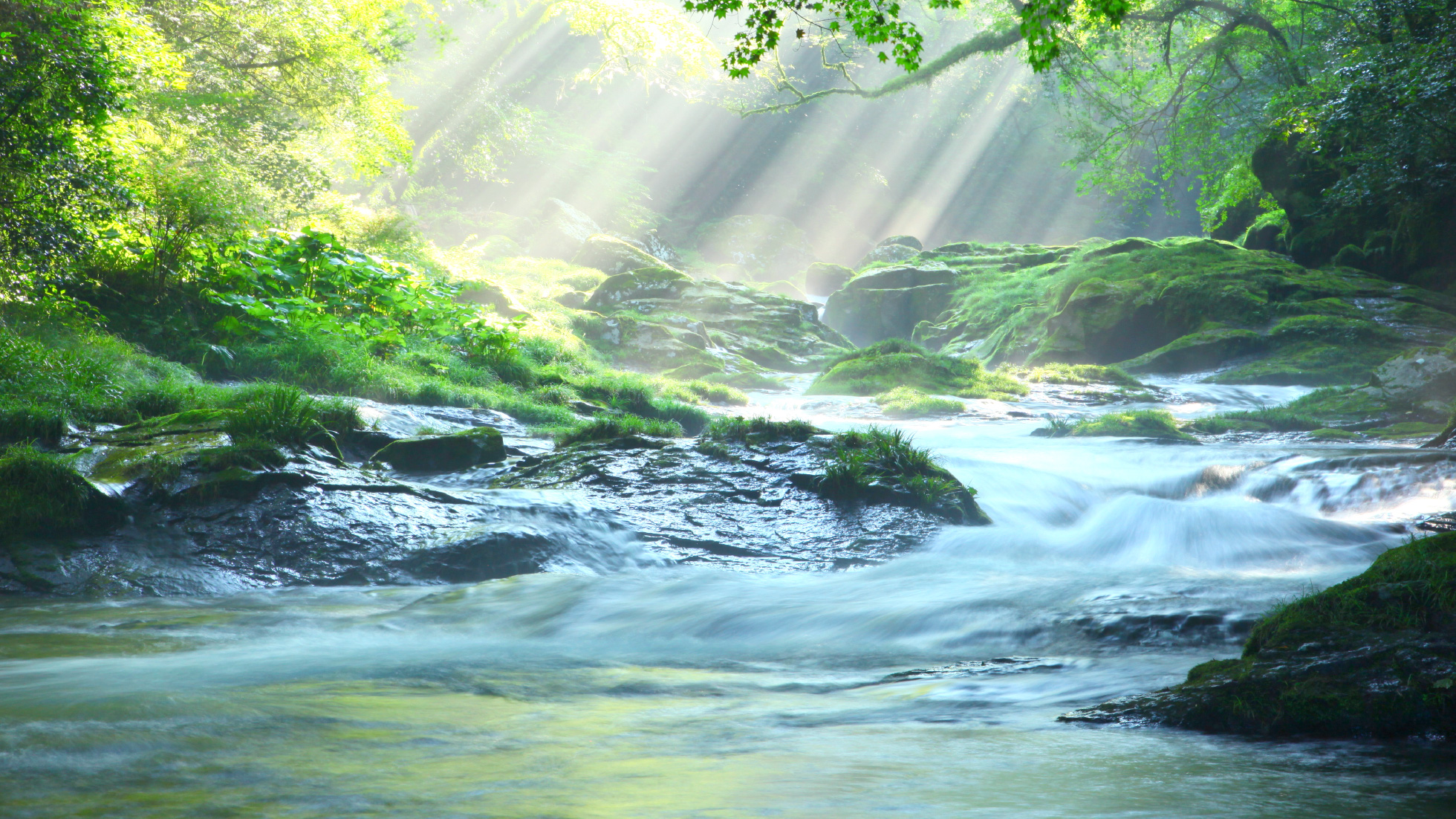 日本人ならではの繊細な美意識が表現された言葉「ささらぎ」